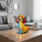 Graciozni šarm pudla